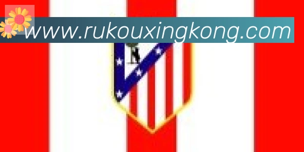 星空体育官网入口合作伙伴