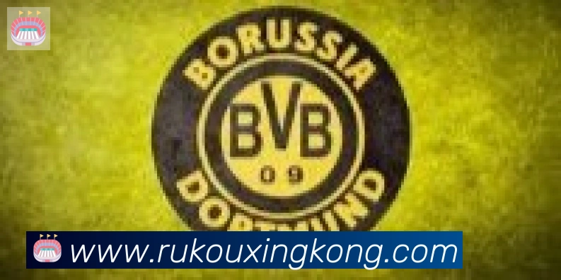 星空体育官网入口合作伙伴